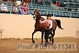 09yn-11341 proof
