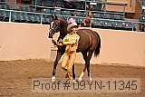 09yn-11345 proof
