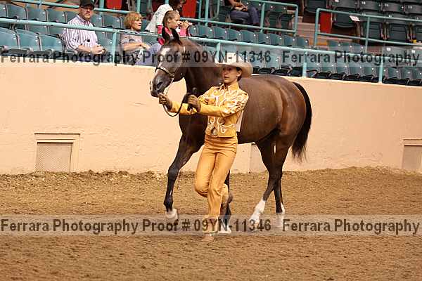 Proof 09yn-11346