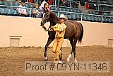 09yn-11346 proof