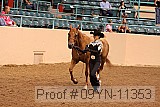 09yn-11353 proof