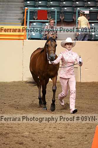 Proof 09yn-11359