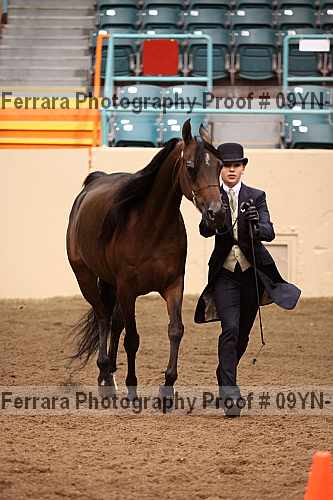 Proof 09yn-11362