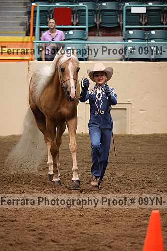 Proof 09yn-11365