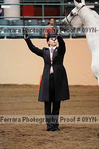 Proof 09yn-11370