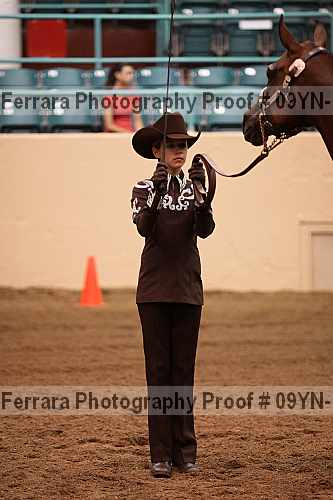 Proof 09yn-11373