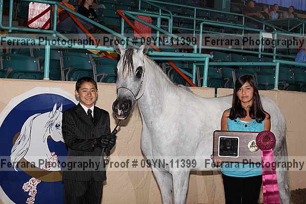 Proof 09yn-11399