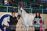 09yn-11399 proof