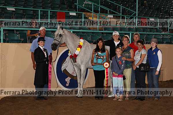 Proof 09yn-11401