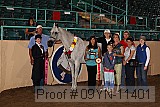 09yn-11401 proof