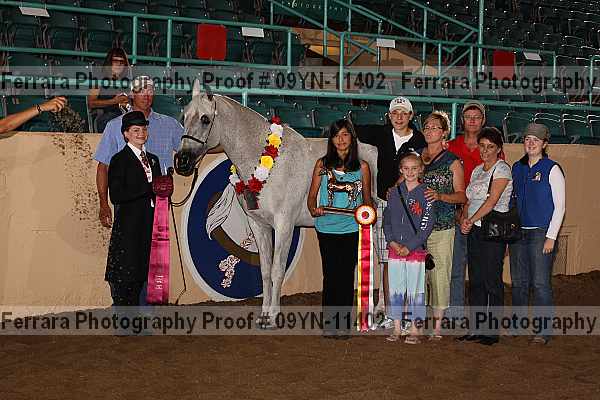 Proof 09yn-11402