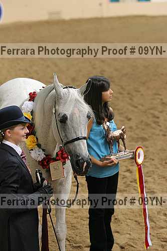 Proof 09yn-11403