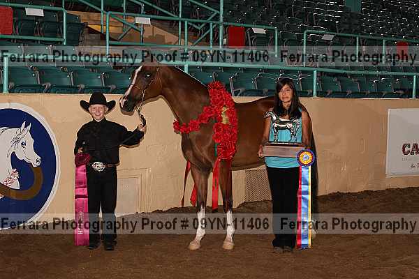 Proof 09yn-11406