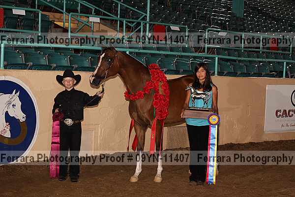 Proof 09yn-11407