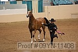 09yn-11408 proof