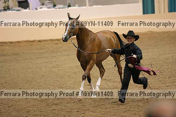 Proof 09yn-11409