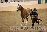 09yn-11409 proof