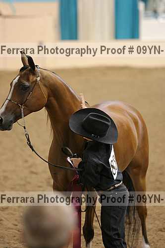 Proof 09yn-11412
