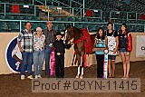 09yn-11415 proof