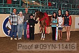 09yn-11416 proof