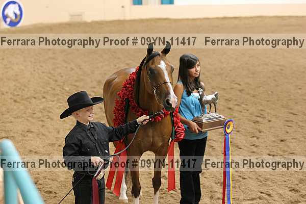 Proof 09yn-11417