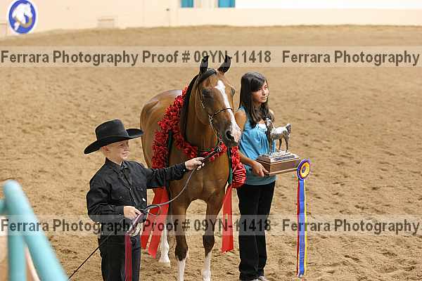 Proof 09yn-11418