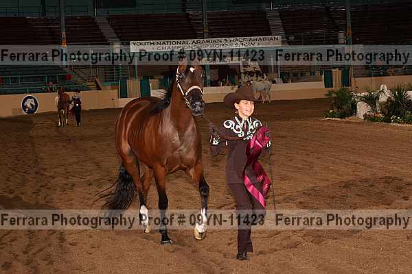 Proof 09yn-11423