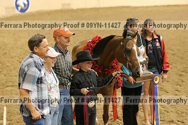 Proof 09yn-11427