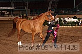 09yn-11428 proof