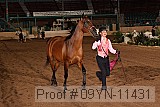 09yn-11431 proof