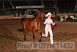 09yn-11432 proof