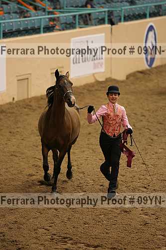Proof 09yn-11441
