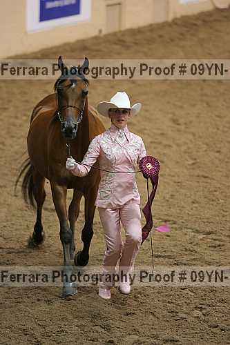 Proof 09yn-11442