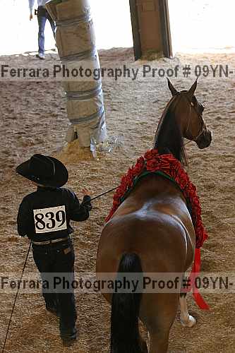 Proof 09yn-11457