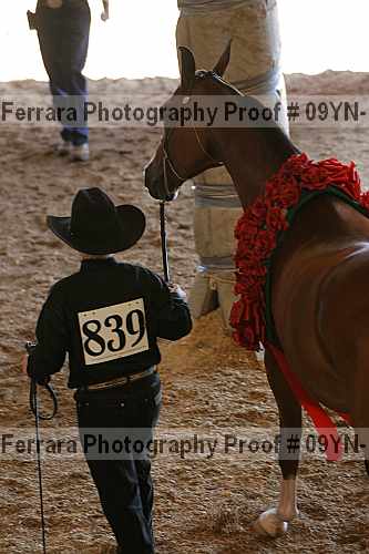 Proof 09yn-11459