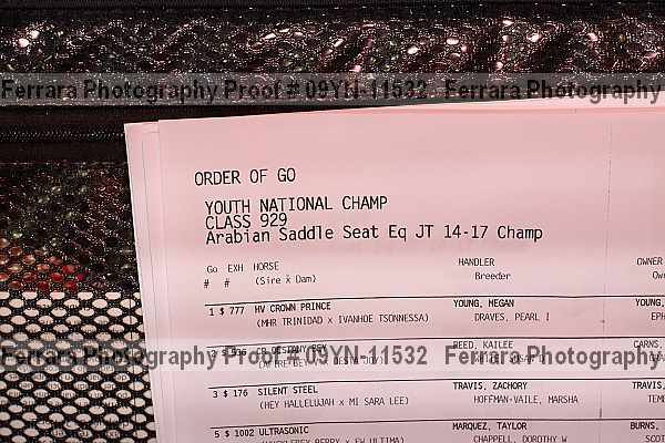 Proof 09yn-11532