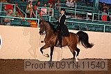 09yn-11540 proof