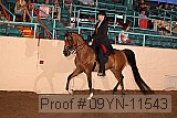 09yn-11543 proof