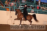 09yn-11544 proof