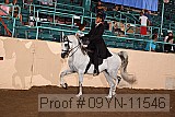 09yn-11546 proof