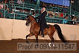 09yn-11547 proof