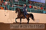 09yn-11549 proof