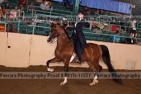 Proof 09yn-11551