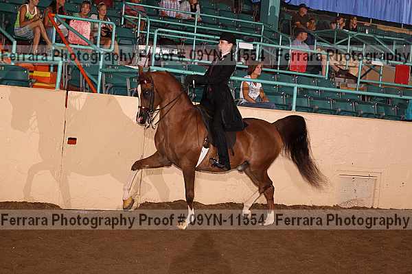 Proof 09yn-11554