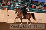 09yn-11554 proof