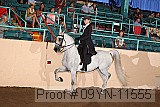 09yn-11555 proof