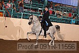 09yn-11556 proof