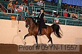 09yn-11557 proof
