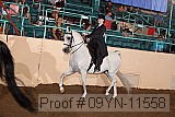 09yn-11558 proof