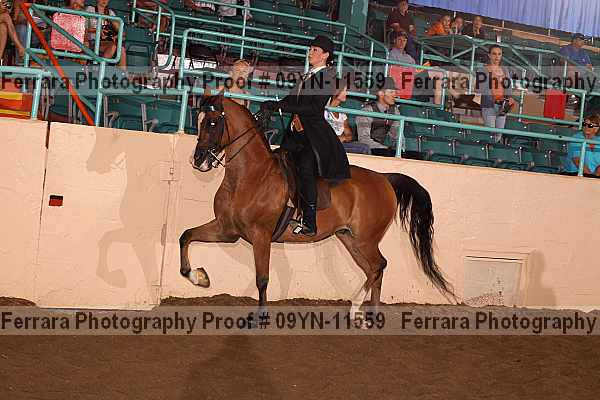 Proof 09yn-11559